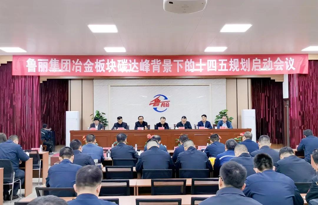 范铁军院长带队参加东升国际下载注册www冶金板块碳达峰背景下的“十四五”规划启动会议