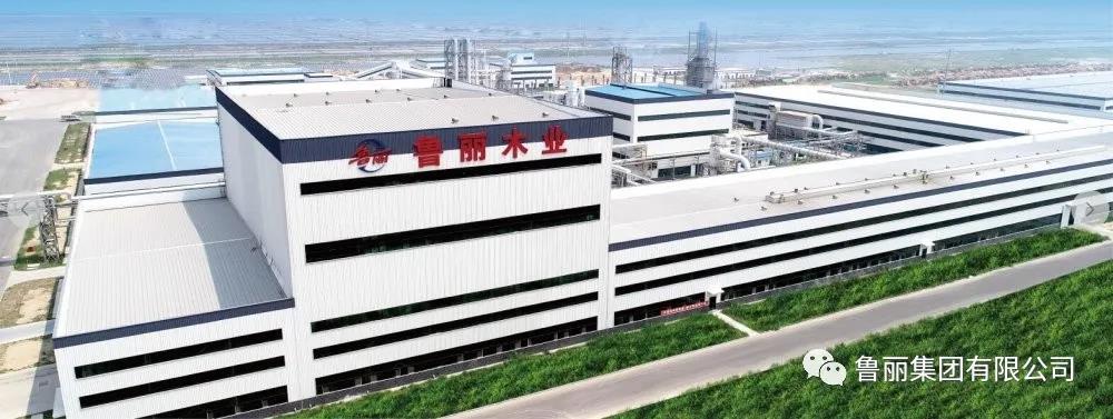 东升国际下载注册www（木业板块）招聘简章