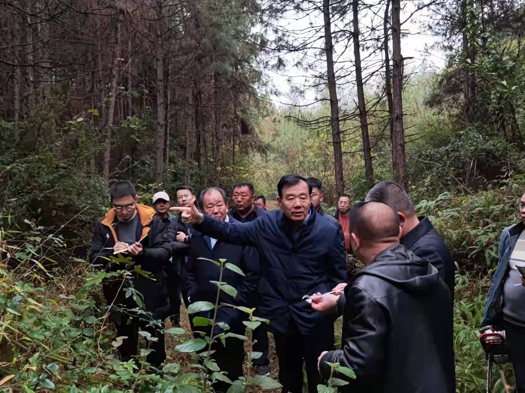 董事长率队赴湖南、江西考察林业基地